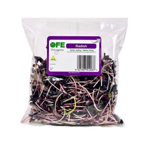 Radish